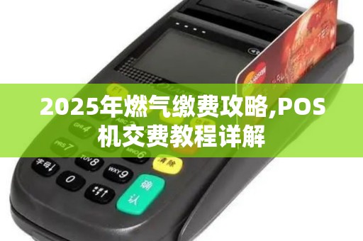 2025年燃气缴费攻略,POS机交费教程详解 2025年燃气缴费攻略,POS机交费教程详解