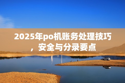 2025年po机账务处理技巧，安全与分录要点