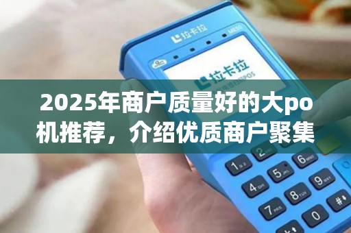 2025年商户质量好的大po机推荐，介绍优质商户聚集地