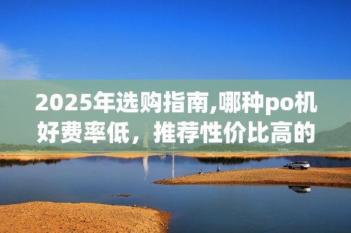 2025年选购指南,哪种po机好费率低，推荐性价比高的机型