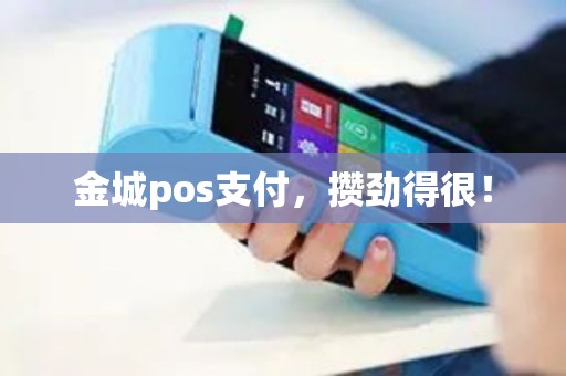 金城pos支付，攒劲得很！