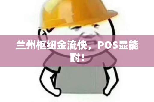 兰州枢纽金流快,POS显能耐! 兰州枢纽金流快,POS显能耐!