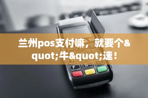 兰州pos支付嘛,就要个"牛"速! 兰州pos支付嘛,就要个"牛"速!