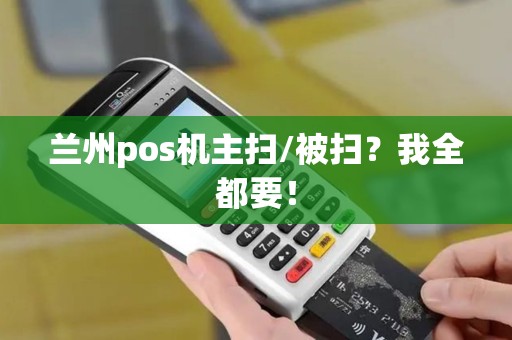 兰州pos机主扫/被扫？我全都要！
