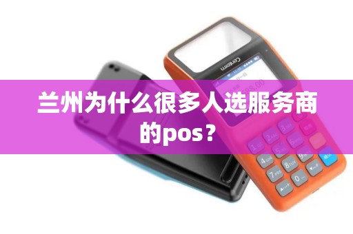 兰州为什么很多人选服务商的pos？