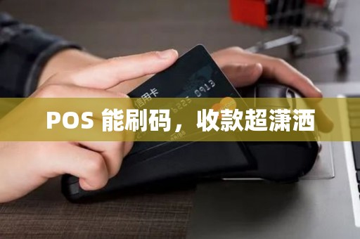POS 能刷码，收款超潇洒