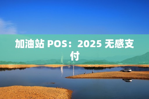 加油站 POS：2025 无感支付