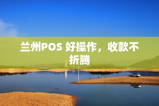 兰州POS 好操作，收款不折腾