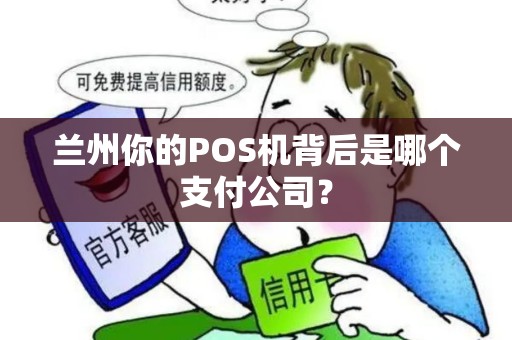 兰州你的POS机背后是哪个支付公司？
