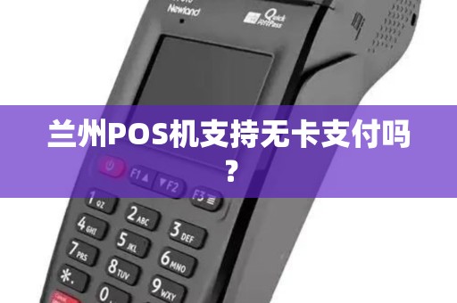 兰州POS机支持无卡支付吗？