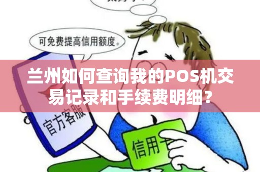 兰州如何查询我的POS机交易记录和手续费明细？