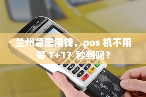 兰州急需用钱，pos 机不用等 T+1？秒到吗？
