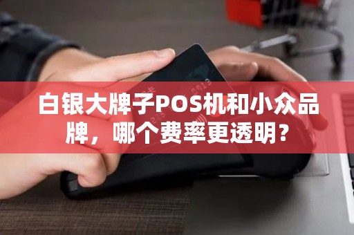 白银大牌子POS机和小众品牌，哪个费率更透明？