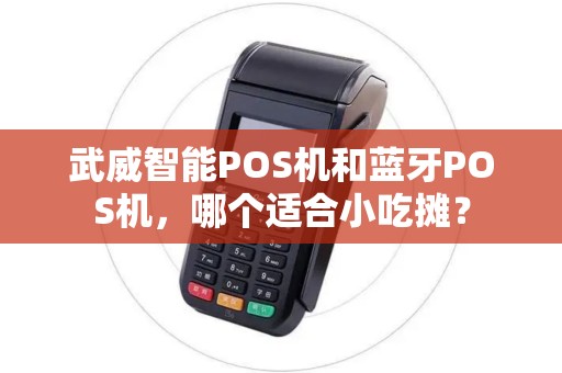 武威智能POS机和蓝牙POS机，哪个适合小吃摊？