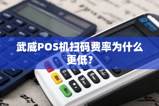 武威POS机扫码费率为什么更低？