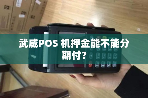 武威POS 机押金能不能分期付？