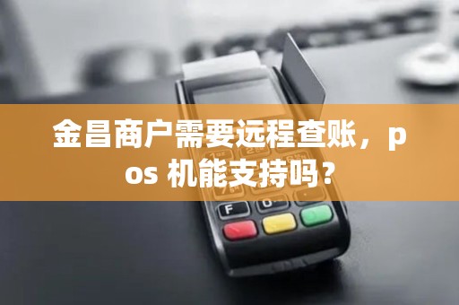 金昌商户需要远程查账，pos 机能支持吗？