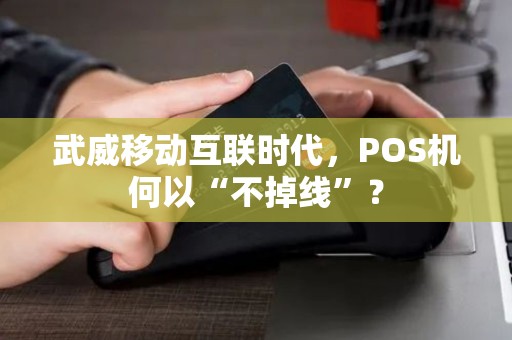 武威移动互联时代,POS机何以“不掉线”? 武威移动互联时代,POS机何以“不掉线”?