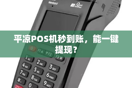 平凉POS机秒到账，能一键提现？
