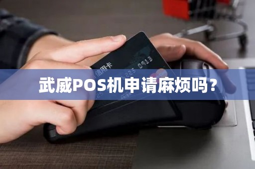 武威POS机申请麻烦吗? 武威POS机申请麻烦吗?