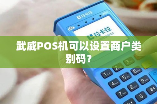 武威POS机可以设置商户类别码？