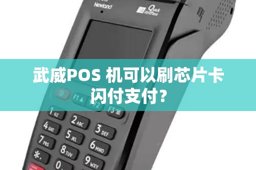 武威POS 机可以刷芯片卡闪付支付？
