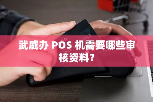 武威办 POS 机需要哪些审核资料？