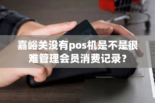 嘉峪关没有pos机是不是很难管理会员消费记录？