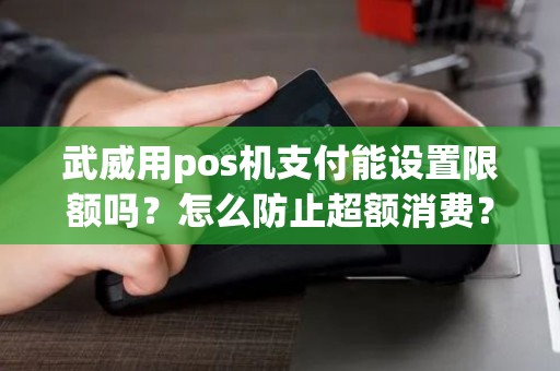 武威用pos机支付能设置限额吗?怎么防止超额消费? 武威用pos机支付能设置限额吗?怎么防止超额消费?