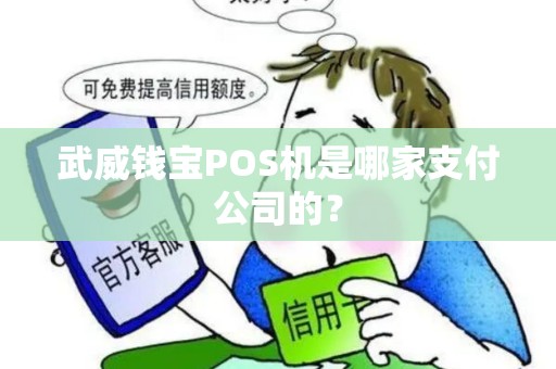 武威钱宝POS机是哪家支付公司的？