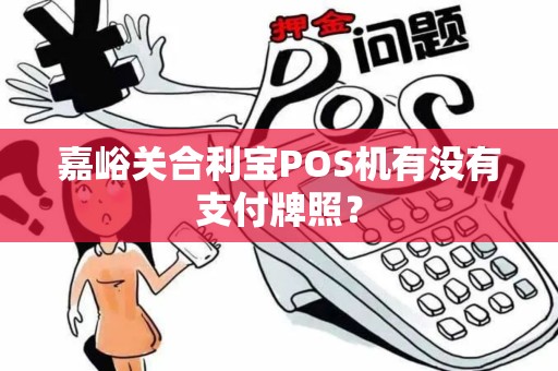 嘉峪关合利宝POS机有没有支付牌照？