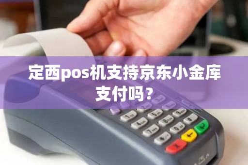 定西pos机支持京东小金库支付吗？