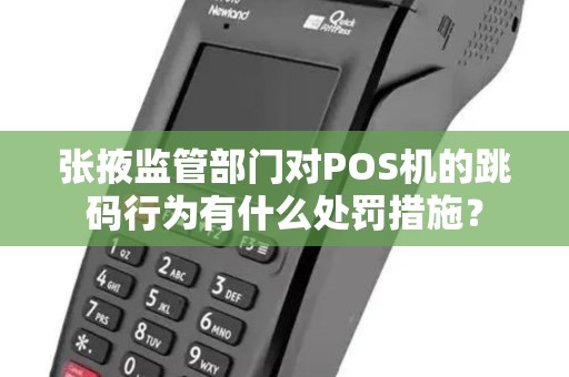 张掖监管部门对POS机的跳码行为有什么处罚措施？