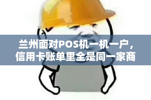 兰州面对POS机一机一户,信用卡账单里全是同一家商户该怎么办? 兰州面对POS机一机一户,信用卡账单里全是同一家商户该怎么办?