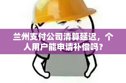 兰州支付公司清算延迟，个人用户能申请补偿吗？