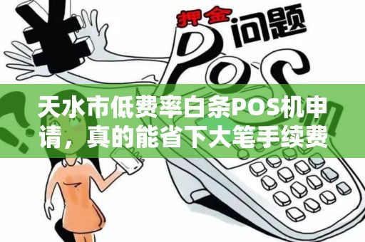 天水市低费率白条POS机申请，真的能省下大笔手续费吗？揭秘行业内幕！