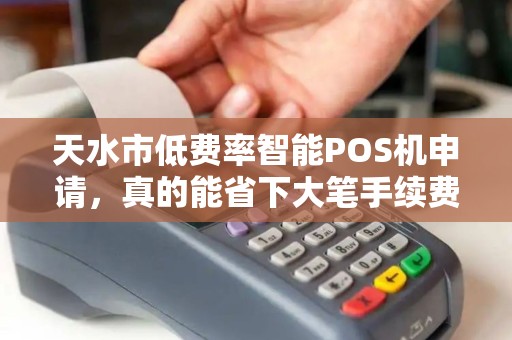 天水市低费率智能POS机申请，真的能省下大笔手续费吗？揭秘背后的陷阱与真相！