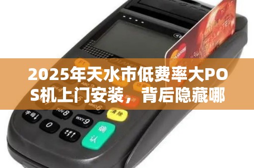 2025年天水市低费率大POS机上门安装，背后隐藏哪些不为人知的秘密？