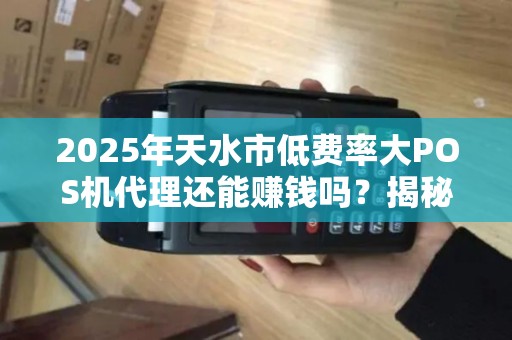 2025年天水市低费率大POS机代理还能赚钱吗？揭秘行业真相与盈利策略！