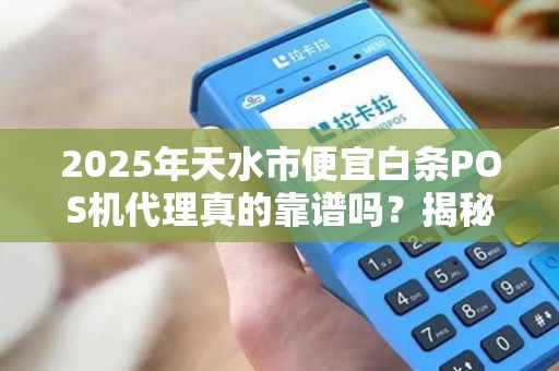 2025年天水市便宜白条POS机代理真的靠谱吗?揭秘行业内幕与避坑指南! 2025年天水市便宜白条POS机代理真的靠谱吗?揭秘行业内幕与避坑指南!
