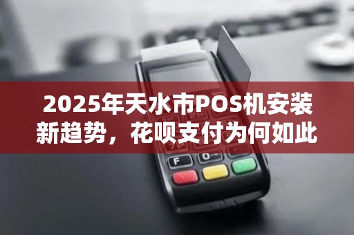 2025年天水市POS机安装新趋势,花呗支付为何如此便宜?背后隐藏哪些秘密? 2025年天水市POS机安装新趋势,花呗支付为何如此便宜?背后隐藏哪些秘密?