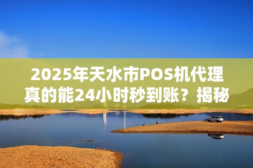2025年天水市POS机代理真的能24小时秒到账？揭秘背后隐藏的行业真相！