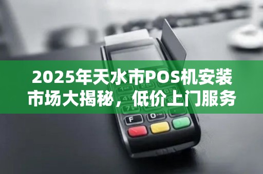 2025年天水市POS机安装市场大揭秘，低价上门服务背后藏着什么猫腻？