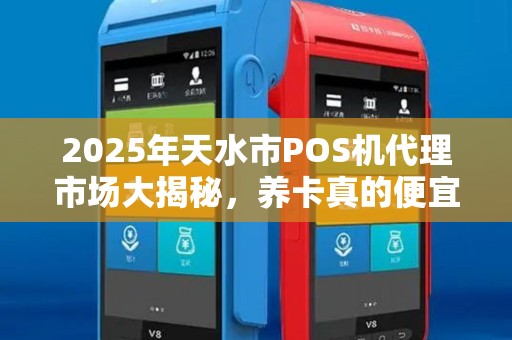 2025年天水市POS机代理市场大揭秘,养卡真的便宜吗? 2025年天水市POS机代理市场大揭秘,养卡真的便宜吗?