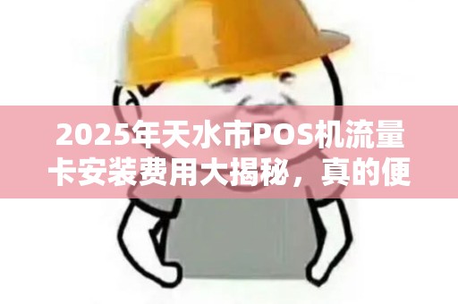 2025年天水市POS机流量卡安装费用大揭秘，真的便宜吗？