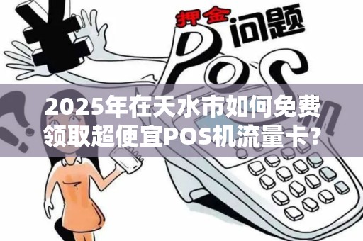 2025年在天水市如何免费领取超便宜POS机流量卡？内行人揭秘省钱妙招！