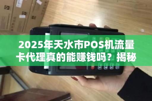2025年天水市POS机流量卡代理真的能赚钱吗？揭秘低成本创业的真相！