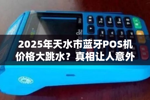 2025年天水市蓝牙POS机价格大跳水？真相让人意外！