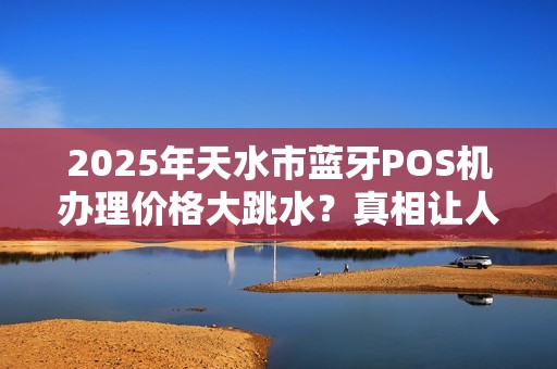 2025年天水市蓝牙POS机办理价格大跳水?真相让人意外! 2025年天水市蓝牙POS机办理价格大跳水?真相让人意外!