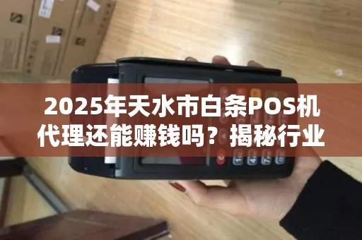2025年天水市白条POS机代理还能赚钱吗?揭秘行业现状与未来趋势 2025年天水市白条POS机代理还能赚钱吗?揭秘行业现状与未来趋势